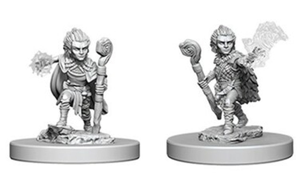 Pathfinder Deep Cuts: Gnome Male Druid
