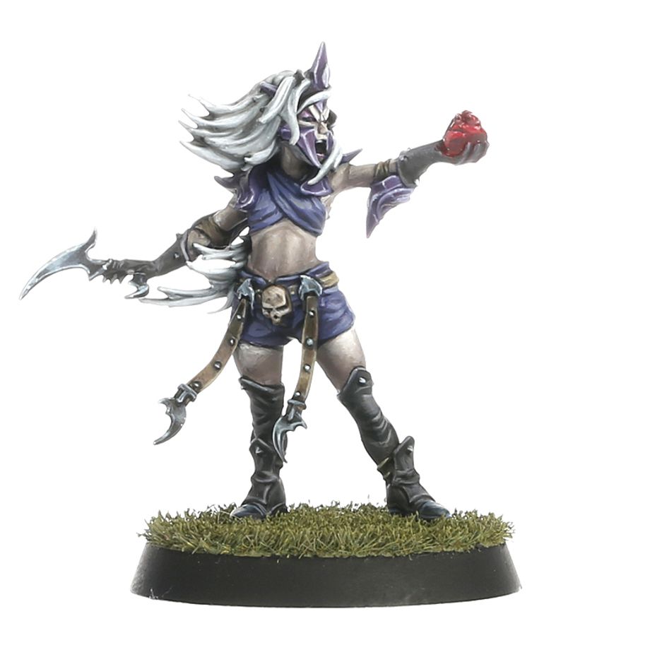 Blood Bowl - Dark Elf Blood Bowl Team – Naggaroth Nightmares