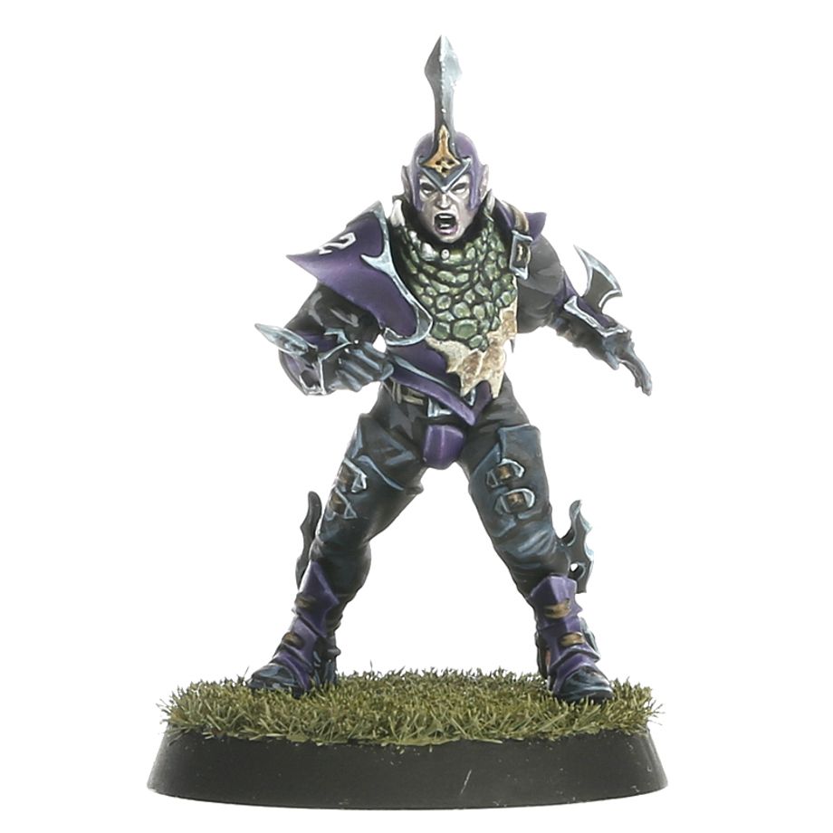 Blood Bowl - Dark Elf Blood Bowl Team – Naggaroth Nightmares