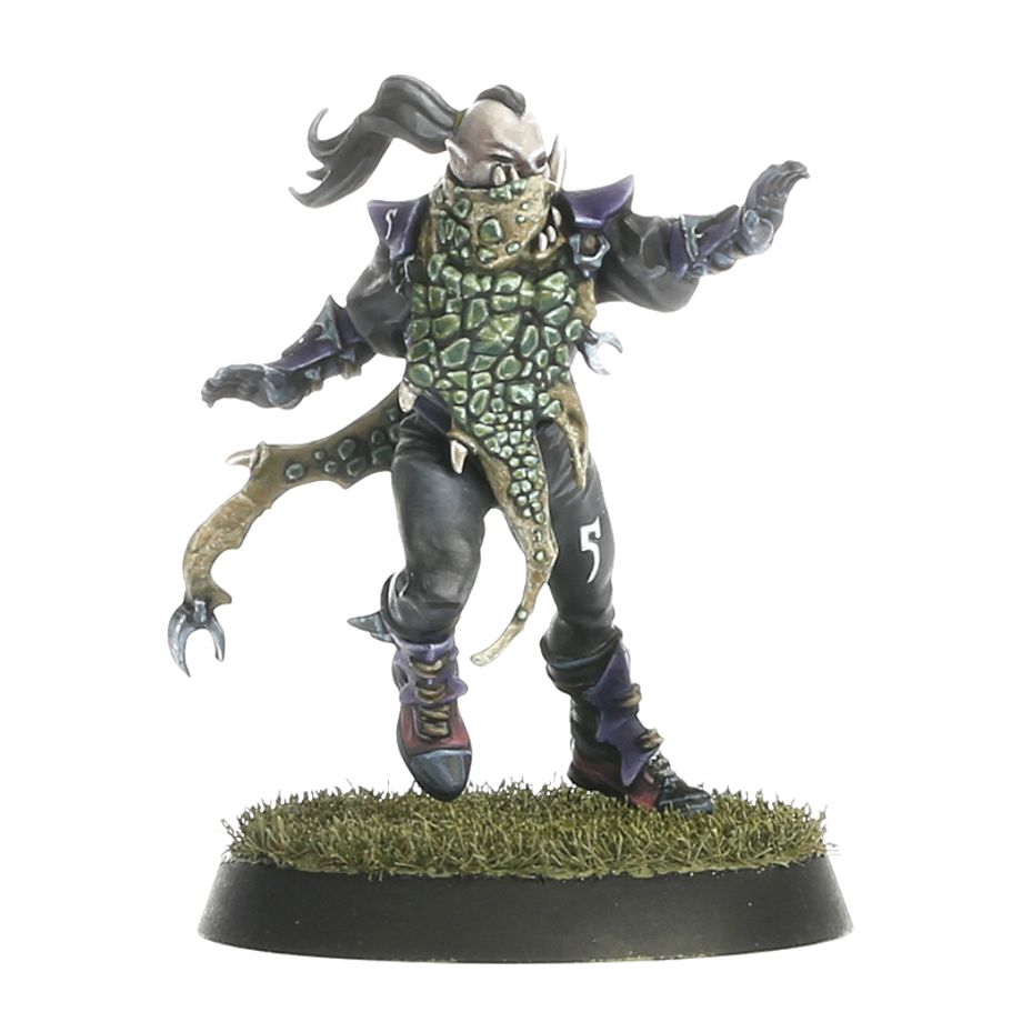 Blood Bowl - Dark Elf Blood Bowl Team – Naggaroth Nightmares