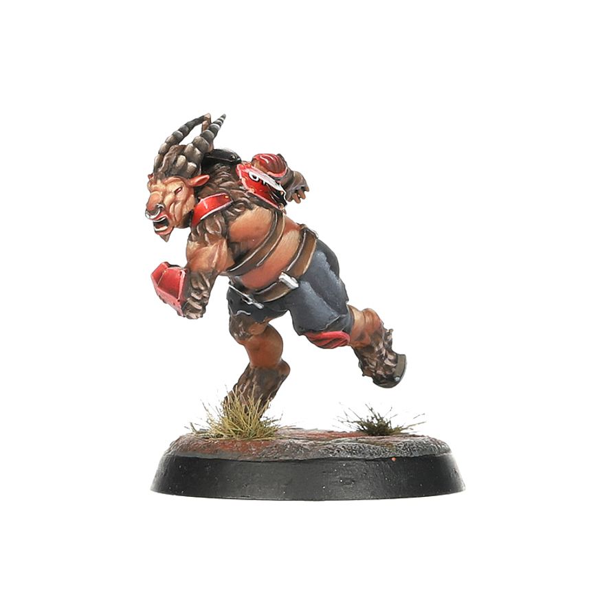 Blood Bowl - Chaos Chosen Team - The Doom Lords