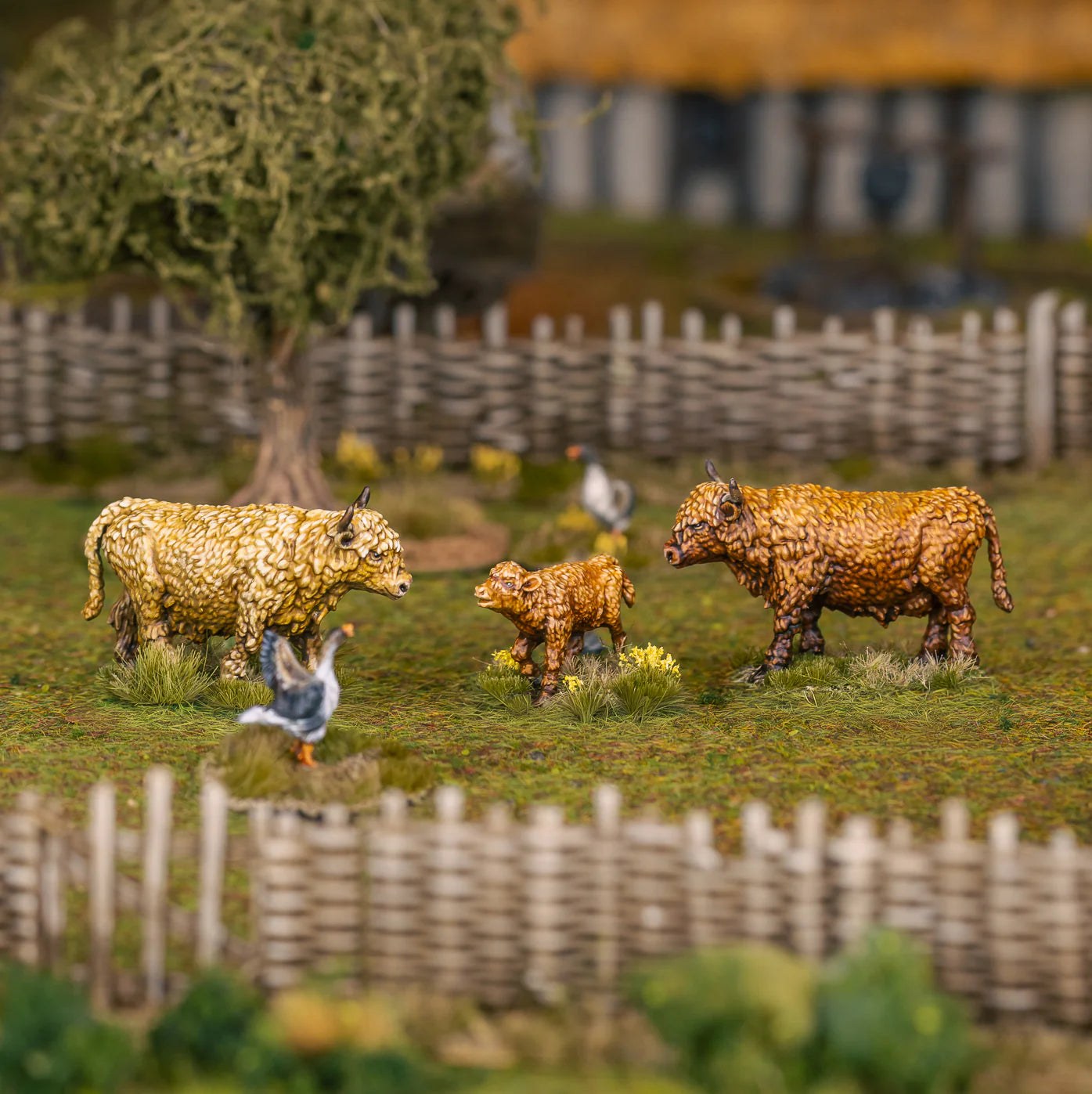 Victrix Limited - Medieval Farm Animals