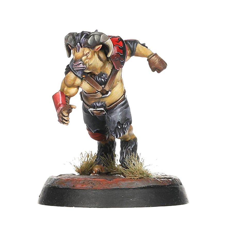 Blood Bowl - Chaos Chosen Team - The Doom Lords