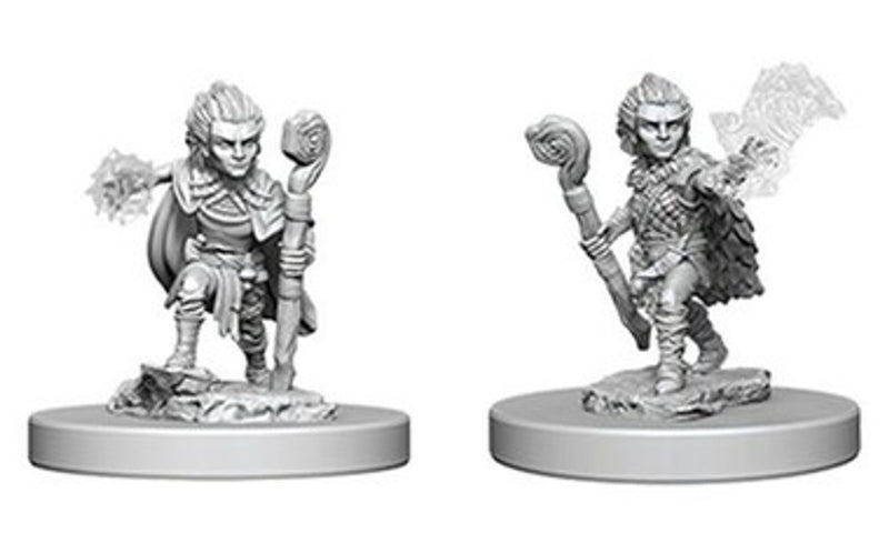 Pathfinder Deep Cuts: Gnome Male Druid