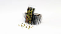 Gamers Grass -  Laser Plants - Deer Fern