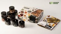 Gamers Grass -  Basing Pigments - Core Set
