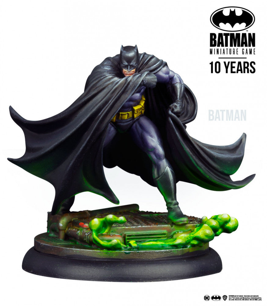 Batman & Robin 10th Anniversary Edition