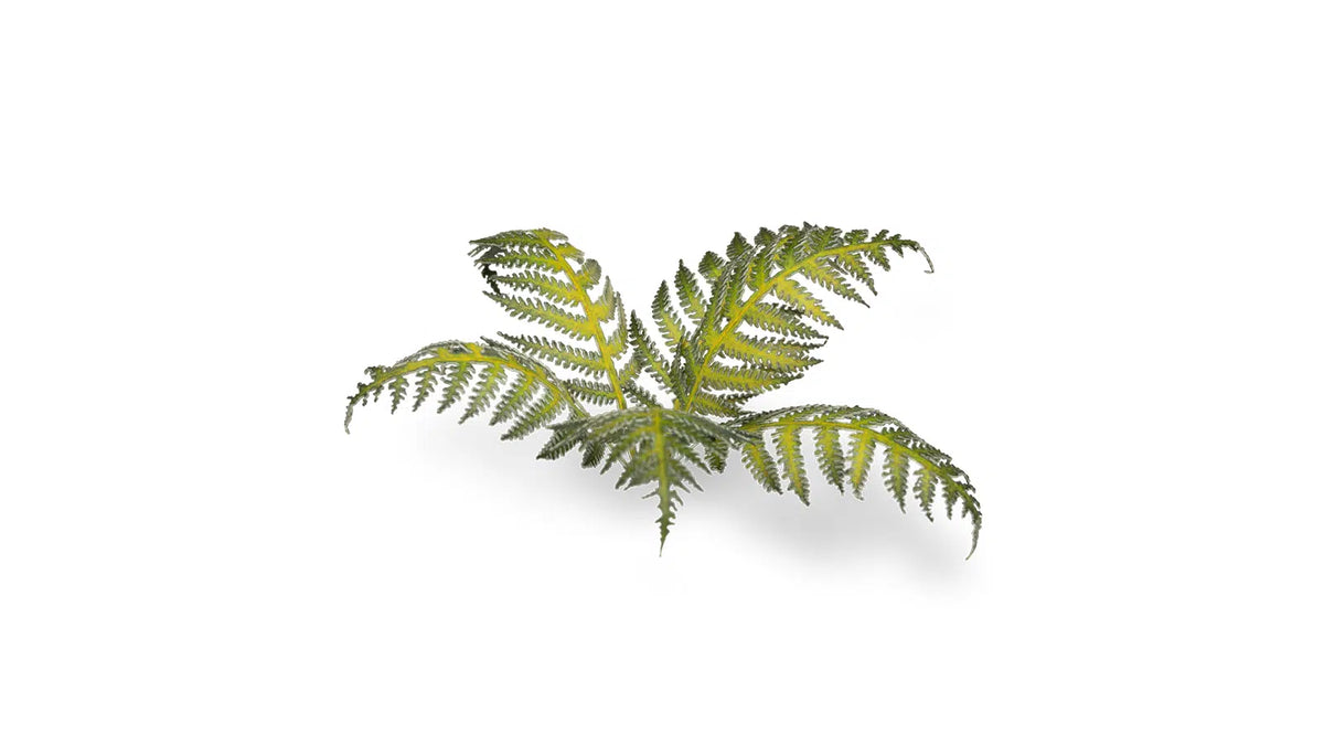 Gamers Grass -  Laser Plants - Bracken