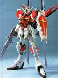 Bandai MG 1/100 Destiny Gundam "Gundam SEED Destiny" Model Kit