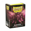 Dragon Shield: Standard Sleeves - Matte Dual - Blossom (100)