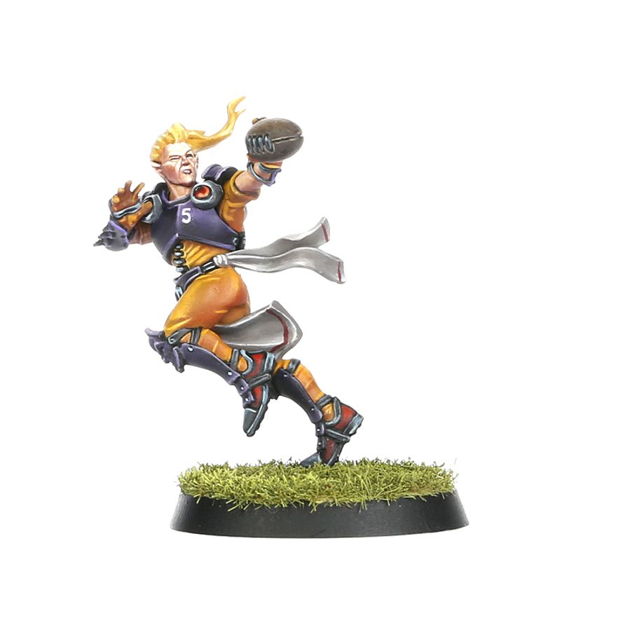 Blood Bowl - Elven Union Team - Elfheim Eagles