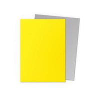 Dragon Shield: Standard Sleeves - Matte Dual - Yellow & Silver (100)