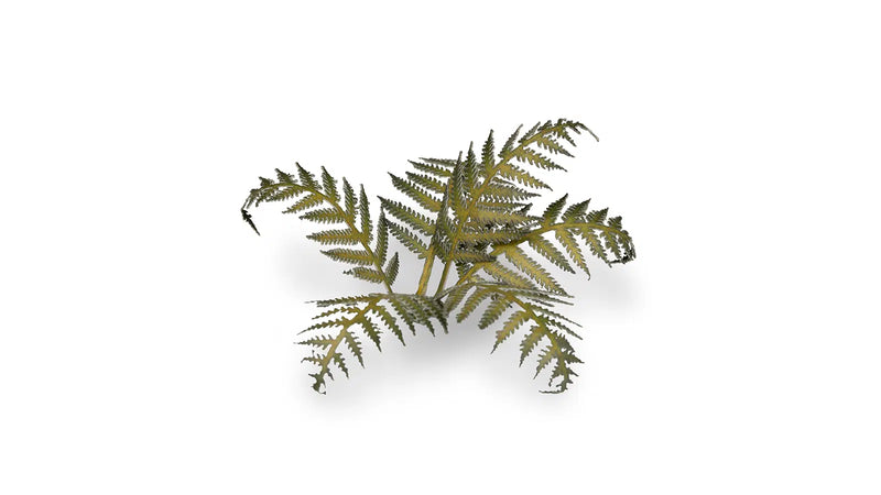 Gamers Grass -  Laser Plants - Bracken