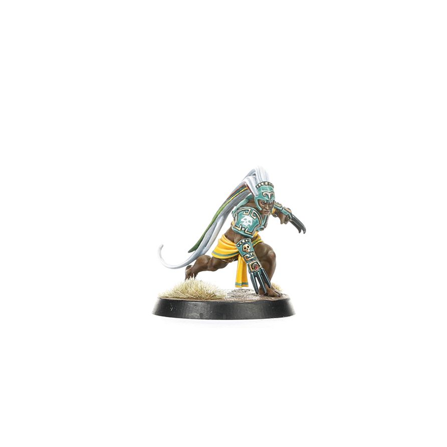 Blood Bowl - Amazon - Kara Temple Harpies