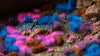 Gamers Grass -  Tuft Sets - Mystic Nebulae Set