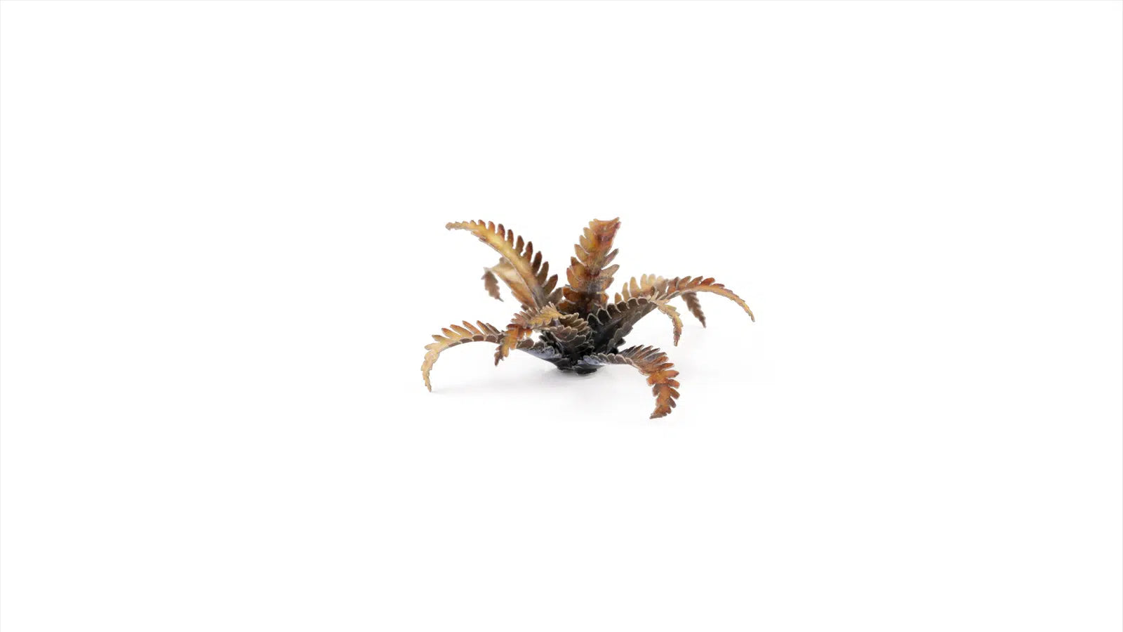 Gamers Grass -  Laser Plants - Alien Fern