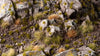 Gamers Grass -  Special Tufts - Tiny Dry Green (2mm)