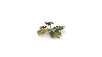 Gamers Grass -  Laser Plants - Monstera