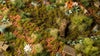 Gamers Grass -  Grass Tufts - Dry Green (2mm)
