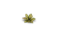 Gamers Grass -  Laser Plants - Dumb Cane