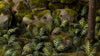 Gamers Grass -  Laser Plants - Bracken
