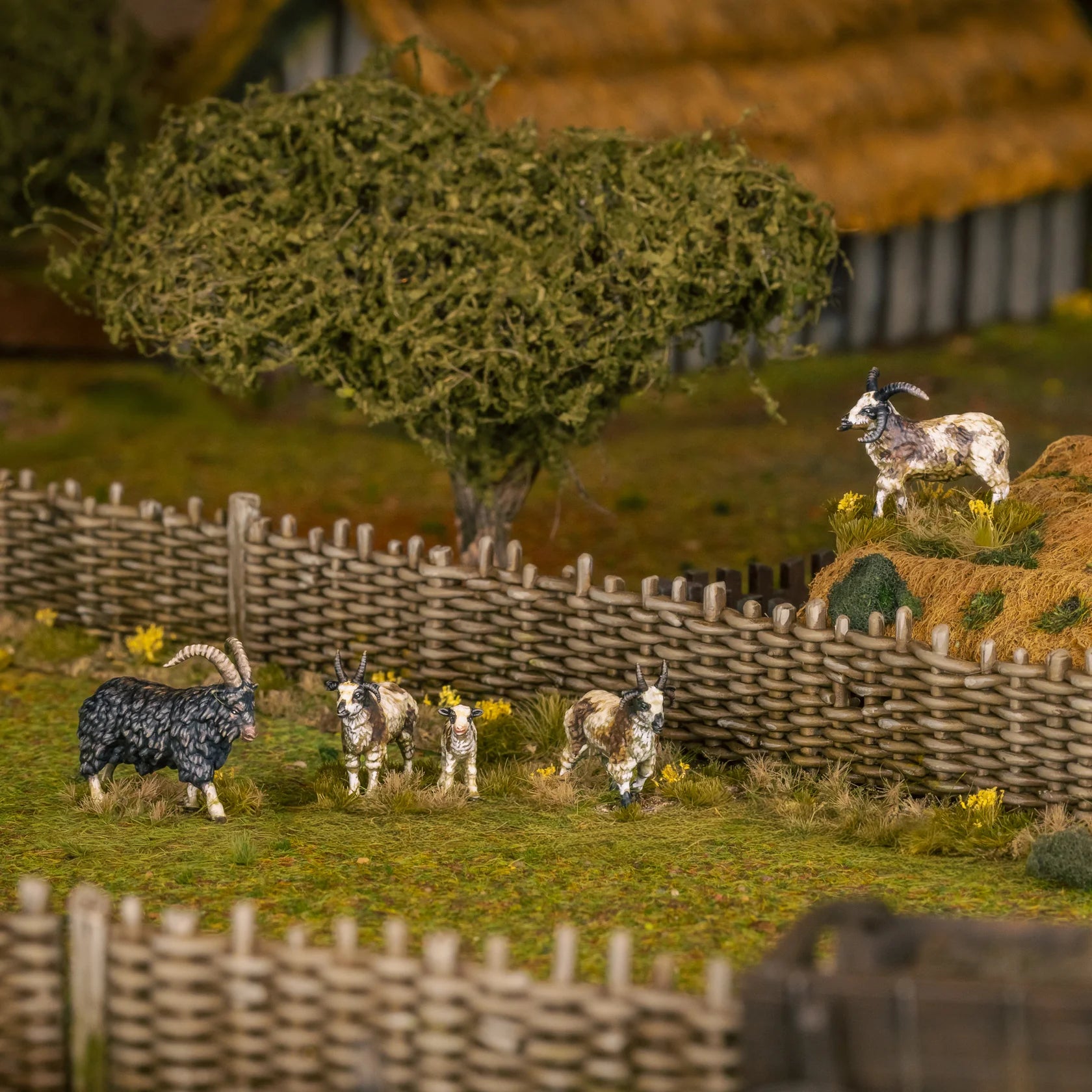 Victrix Limited - Medieval Farm Animals