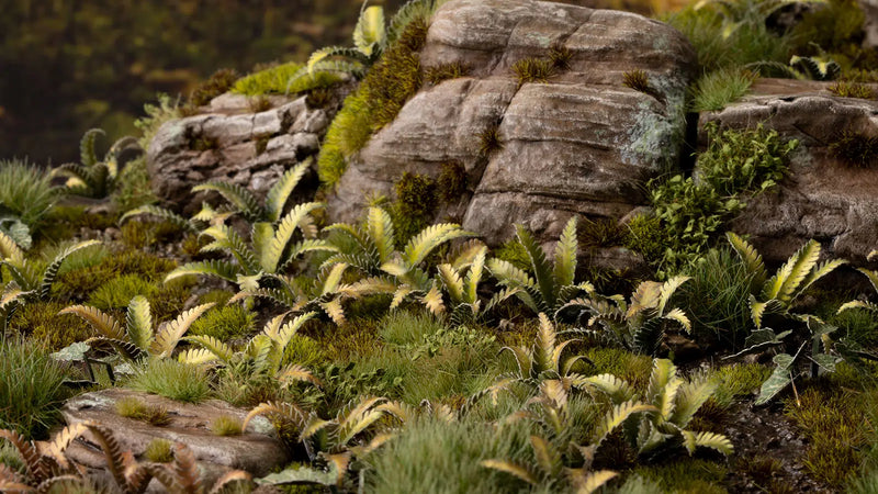 Gamers Grass -  Laser Plants - Deer Fern
