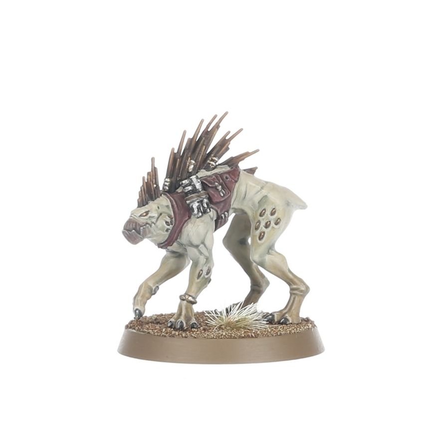 Warhammer 40,000- Kroot Farstalkers
