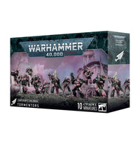 Warhammer - Emperor's Children - Tormentors