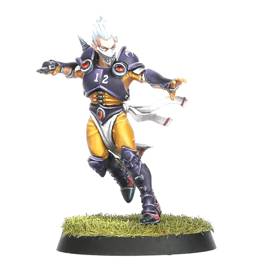 Blood Bowl - Elven Union Team - Elfheim Eagles