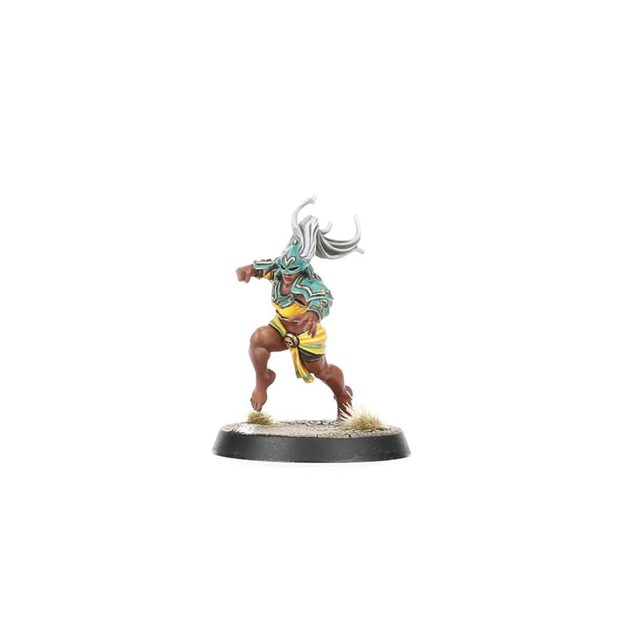 Blood Bowl - Amazon - Kara Temple Harpies