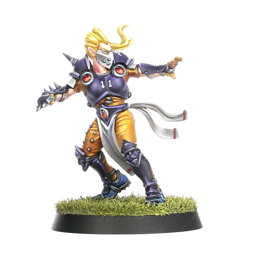 Blood Bowl - Elven Union Team - Elfheim Eagles