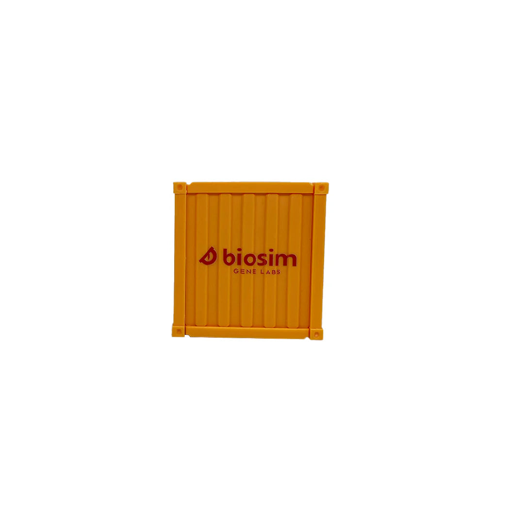 10' Container Box Set