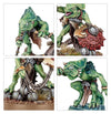 Warhammer - Age of Sigmar - Spearhead - Seraphon – Sunblooded Prowlers