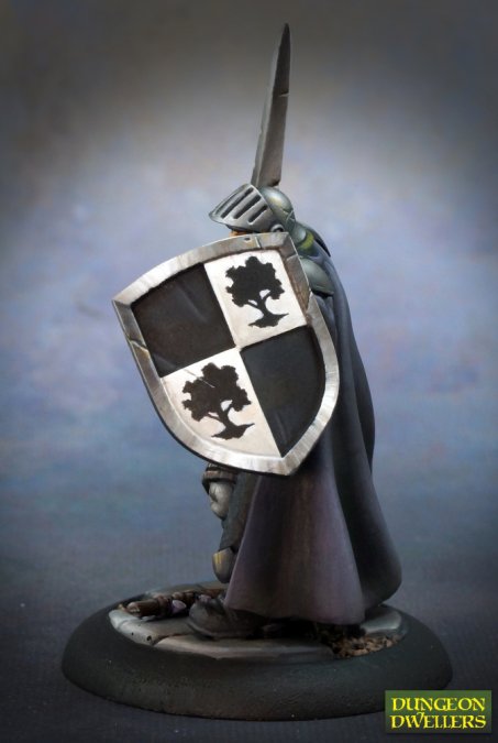 Reaper Miniatures: Dungeon Dwellers - Baran Blacktree, Veteran Warrior