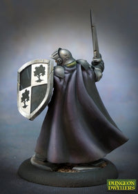 Reaper Miniatures: Dungeon Dwellers - Baran Blacktree, Veteran Warrior
