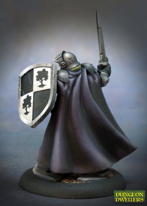 Reaper Miniatures: Dungeon Dwellers - Baran Blacktree, Veteran Warrior