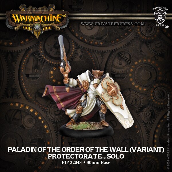 Paladin of the Order of the Wall (Variant Pose)