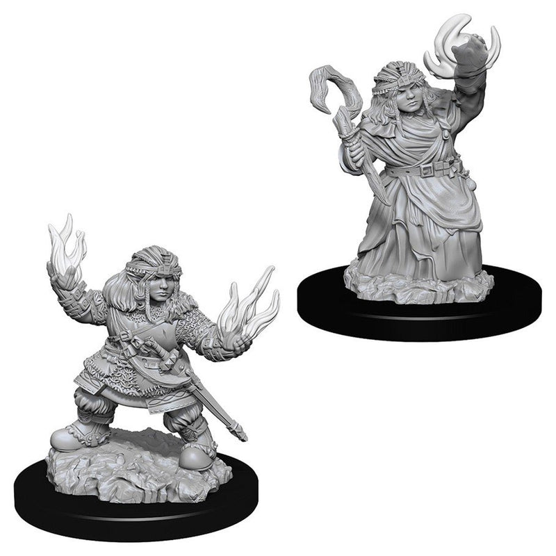 Pathfinder: Deep Cuts Miniatures - Dwarf Summoner (Female)