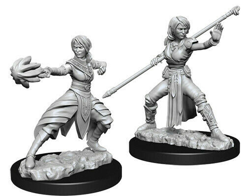 Dungeons & Dragons: Nolzur’s Marvelous Miniatures - Half-Elf Monk (Female)