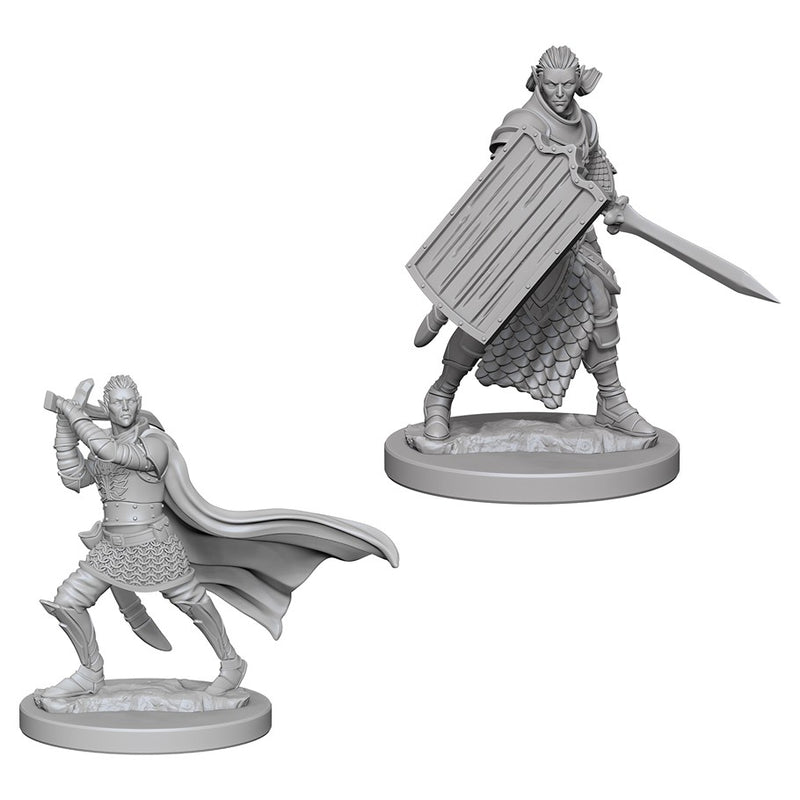 Pathfinder: Deep Cuts Miniatures - Elf Paladin (Male)